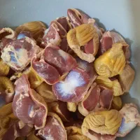 سنگدان گرم و کشتار روز