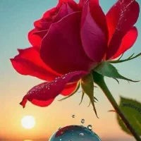 12هکتار-زمین-کشاورزی