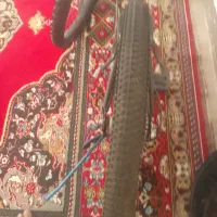 دوچرخه ۲۶|دوچرخه، اسکیت، اسکوتر|پلدختر, |دیوار