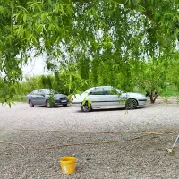 پژوپرشیافرانسه