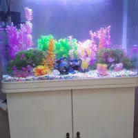 اکواریومk800 شرکت دلسا .اکواریوم