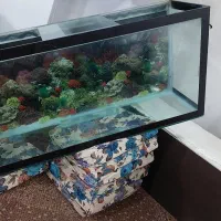 اکواریوم بزرگ