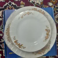 ظرف پذیرایی