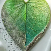 مشاوره شغلی و راهنمایی راه اندازی کسب و کار