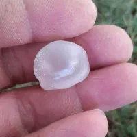 سنگ عقیق سوسنی