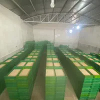 کرم میلورم،پرورش کرم میلورم|لوازم جانبی حیوانات|کاشان, شمس آبادی|دیوار