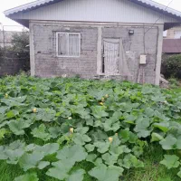 فروش ویلا زیر قیمت وکاسبی