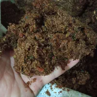 مرکز پخش کشمش آفتابی و شیره|عمده‌فروشی|رشت, کوی عرفان|دیوار
