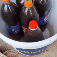 فروش ترشی ازگیل وحشی (کندس جنگلی)