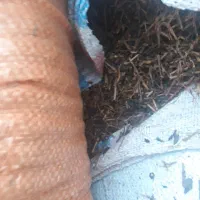 مکمل های خاک گلخانه|عمدهفروشی|رودسر, |دیوار