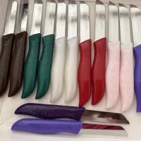 چاقو میوه خوری اره ای اصل آلمان