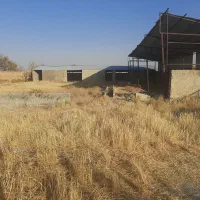 مجتمع دامداری و باغ ۳۰۰۰ متری|فروش دفتر صنعتی، کشاورزی، تجاری|اراک, |دیوار