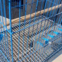 قفس پرنده|لوازم جانبی حیوانات|اندیشه, اندیشه فاز ۳|دیوار