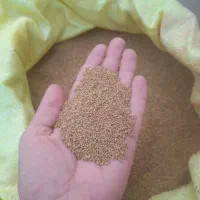 بذر یونجه 480|خدمات باغبانی و درختکاری|سبزوار, ابارش|دیوار