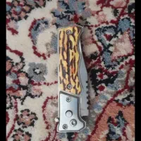 کبوتر اگهی رو بخون|پرنده|الشتر, |دیوار