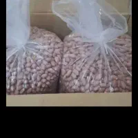 بادام زمینی شمال|خوردنی و آشامیدنی|اسلام‌شهر, شهرک قائمیه|دیوار