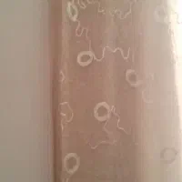 فروش پرده شیک و تمیز|پرده، رانر، رومیزی|بندر گناوه, |دیوار