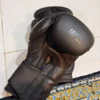 دستکش بوکس|تجهیزات ورزشی|ساری, |دیوار