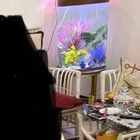 اکواریوم استوانه ، استوانه ای ، گرد