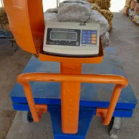 باسکول‌بی‌نظیر