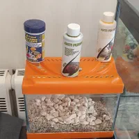 آکواریوم ماهیران شیشه خم با کل وسائل|ماهی|تهران, هروی|دیوار