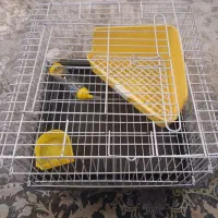 قفس خرگوش