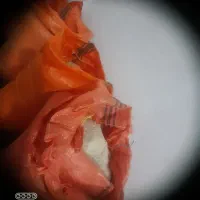 هاشمی محصول خودم