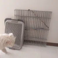 پارک فلزی سگ کوچولو بعلاوه سینی ادرار تقریبا نو|لوازم جانبی حیوانات|کرج, کوی امامیه|دیوار