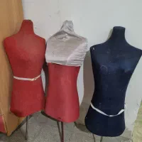 مانکن سوزن خور