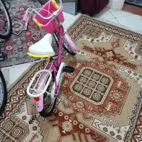 دوچرخه ۱۶ خارجی|دوچرخه، اسکیت، اسکوتر|تهران, شهرک زینبیه|دیوار