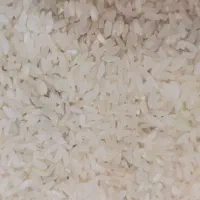 برنج کامفیروزی. زرشک|خوردنی و آشامیدنی|شیراز, شهرک گلها|دیوار