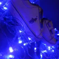 کفش|کیف، کفش، کمربند|بندر کنگان, |دیوار