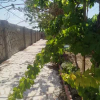 فروش-باغ