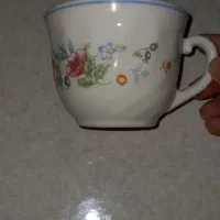 هفت عدد فنجان و دوعدد کاسه
