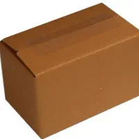 یک عدد کارتون پیدا شده