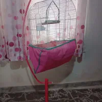 قفس پرنده