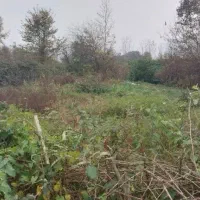 فروش-زمین-شهری-224-متری-دپارتمان-آسیا-نین