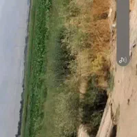 زمین کشاورزی اجاره ای|اجارهٔ دفتر صنعتی، کشاورزی، تجاری|بشاریات, |دیوار