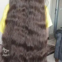 طبیعی.گرونترین مو خام و رنگی