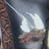 لباس بچگانه وزنانه|کفش و لباس بچه|دورود, |دیوار