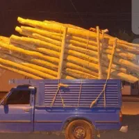 خرید فروش انواع چوب ب صورت نقدی بالایی 500کیلو