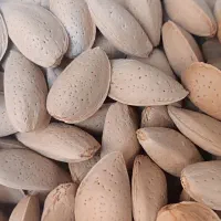 خشکباری ارزانکده مرغوب|خوردنی و آشامیدنی|شیراز, دست خضر|دیوار