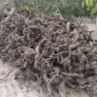 فروش کنده درخت انگور..برا هیزم و زغال