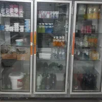 یخچال ویترینی کاملا سالم