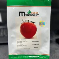 بذر گوجه مارول