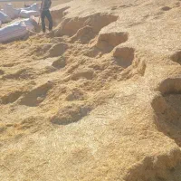 کاه سفید فله 40 تن درجه 1