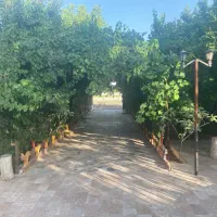 ویلا باغ زردنجان