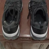 کفش اسکیچرز