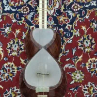 تار|سازهای سنتی|شیراز, پارک آزادی|دیوار