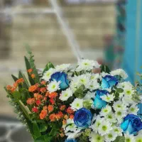 همکاری و درخواست نیرو